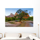 Zion National Park Canyon Wall Decal