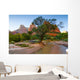 Zion National Park Canyon Wall Decal