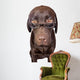 Clever Looking Dog Looking Wall Decal
