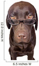Clever Looking Dog Looking Wall Decal