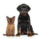 Cat and Dog Together Wall Decal