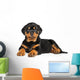 Rottweiler Puppy Lies down Wall Decal