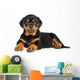 Rottweiler Puppy Lies down Wall Decal