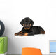 Rottweiler Puppy Wall Decal