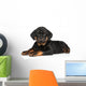 Rottweiler Puppy Wall Decal
