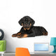 Rottweiler Puppy Wall Decal