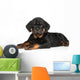Rottweiler Puppy Wall Decal