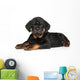 Rottweiler Puppy Wall Decal