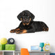 Rottweiler Puppy Wall Decal