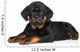 Rottweiler Puppy Wall Decal