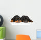 Cute Rottweiler Puppies Wall Decal