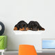 Cute Rottweiler Puppies Wall Decal