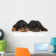 Cute Rottweiler Puppies Wall Decal