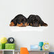 Cute Rottweiler Puppies Wall Decal