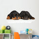 Cute Rottweiler Puppies Wall Decal