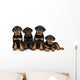 Four Rottweiler Puppies Wall Decal