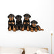 Four Rottweiler Puppies Wall Decal