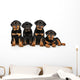Four Rottweiler Puppies Wall Decal