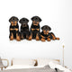 Four Rottweiler Puppies Wall Decal