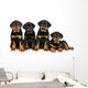Four Rottweiler Puppies Wall Decal