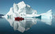Reflektion Wall Decal