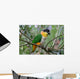 Black Headed Caique Parrot Wall Decal