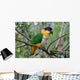 Black Headed Caique Parrot Wall Decal