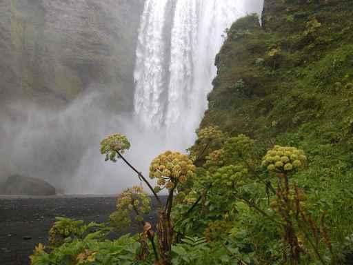Skogarfoss Wall Decal