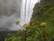 Skogarfoss Wall Decal