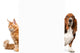 Dog Wall Decal Design 6