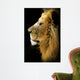 Leon Wall Decal