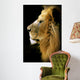 Leon Wall Decal