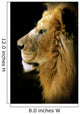 Leon Wall Decal