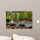 Beautiful Waterfall Small Forest Wall Decal