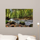 Beautiful Waterfall Small Forest Wall Decal