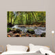 Beautiful Waterfall Small Forest Wall Decal