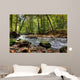 Beautiful Waterfall Small Forest Wall Decal