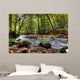 Beautiful Waterfall Small Forest Wall Decal