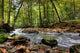 Beautiful Waterfall Small Forest Wall Decal