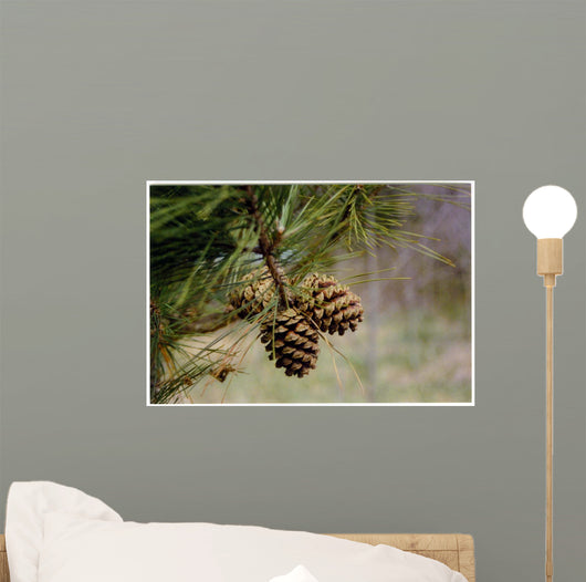 Pine Tree Wall Decal