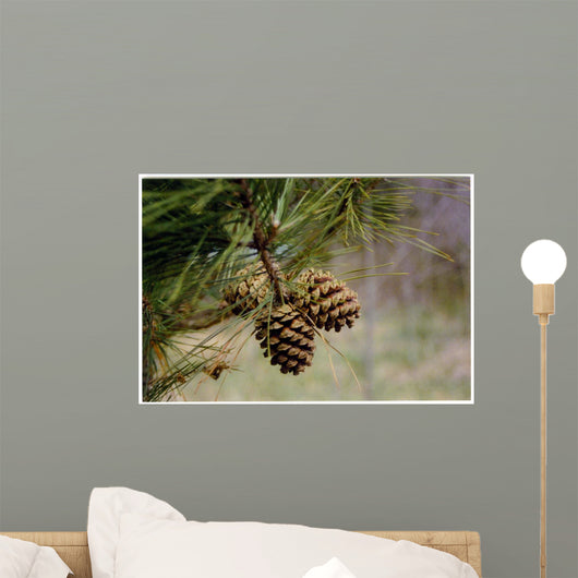 Pine Tree Wall Decal