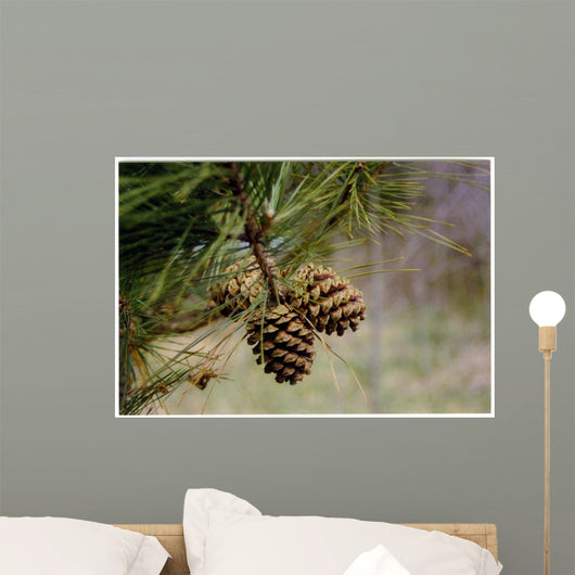 Pine Tree Wall Decal