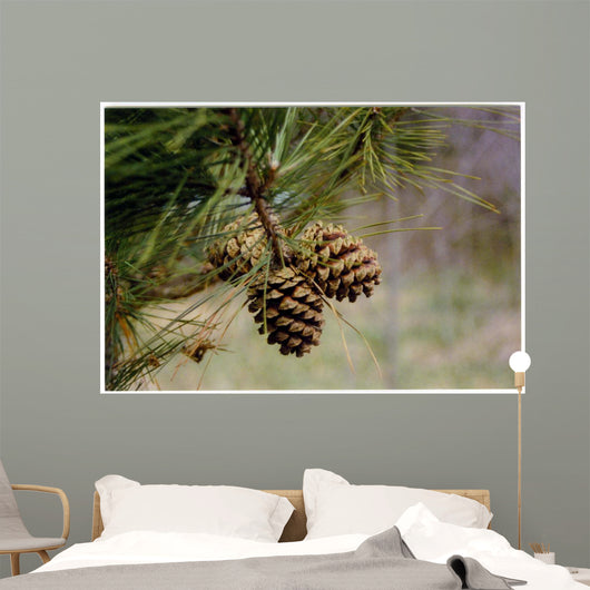 Pine Tree Wall Decal