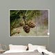 Pine Tree Wall Decal