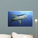 Slivertip Shark Wall Decal Design 2