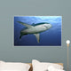 Slivertip Shark Wall Decal Design 2