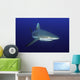 Grey Polynesian Shark Wall Decal