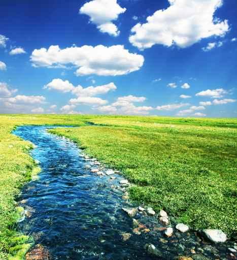 Blue Creek Wall Decal