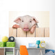 Peeking Pig Wall Decal