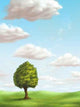 Single Tree Sunny Landscape Wall Decal